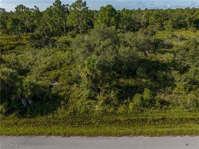 OFFERING SELLER FINANCING! Rare opportunity to own a vacant - photo 14