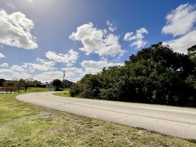 Rare, Gorgeous, Large Corner Lot with a Lakeview on 2 Sides - photo 2