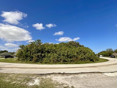 Rare, Gorgeous, Large Corner Lot with a Lakeview on 2 Sides - photo 5