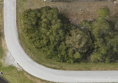 Rare, Gorgeous, Large Corner Lot with a Lakeview on 2 Sides - photo 7