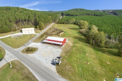 Lewis Smith Lake Commercial For Sale in Cullman Alabama