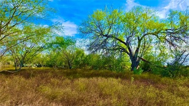 (private lake, pond, creek) Lot For Sale in Runge Texas