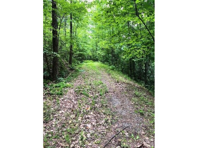 Welcome to Lot 46 Lake Adger Pkwy, a hidden gem nestled in the - photo 1