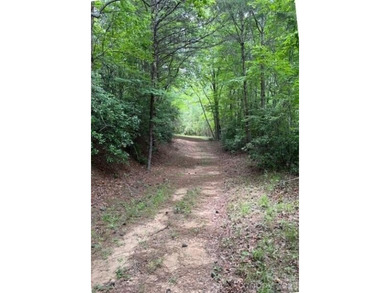 Welcome to Lot 46 Lake Adger Pkwy, a hidden gem nestled in the - photo 4