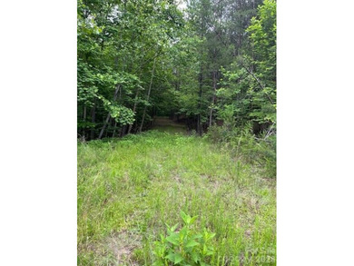 Welcome to Lot 46 Lake Adger Pkwy, a hidden gem nestled in the - photo 5