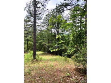 Welcome to Lot 46 Lake Adger Pkwy, a hidden gem nestled in the - photo 6