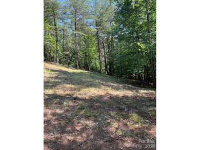 Welcome to Lot 46 Lake Adger Pkwy, a hidden gem nestled in the - photo 8