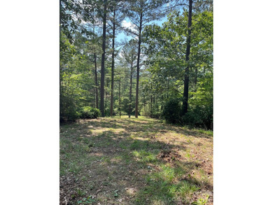 Welcome to Lot 46 Lake Adger Pkwy, a hidden gem nestled in the - photo 9