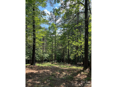 Welcome to Lot 46 Lake Adger Pkwy, a hidden gem nestled in the - photo 10