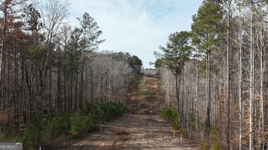 First time on the market in the past 60 years. The 2,700' (L) X - photo 11