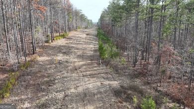 First time on the market in the past 60 years. The 2,700' (L) X - photo 12