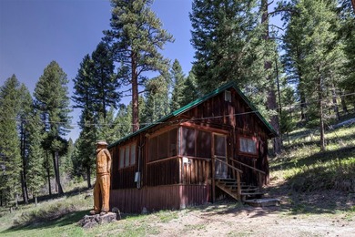 Historic Lost Trail Hot Springs Resort, with close proximity to - photo 13
