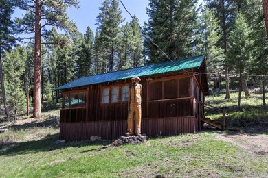 Historic Lost Trail Hot Springs Resort, with close proximity to - photo 14