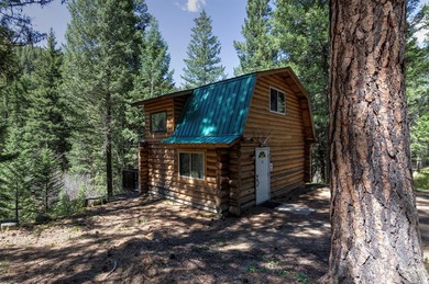 Historic Lost Trail Hot Springs Resort, with close proximity to - photo 18