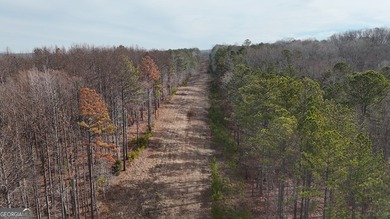 First time on the market in the past 60 years. The 2,700' (L) X - photo 20