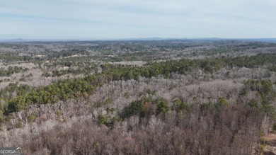 First time on the market in the past 60 years. The 2,700' (L) X - photo 21