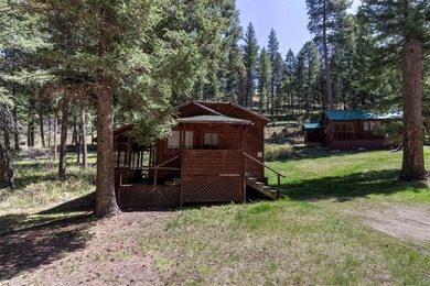Historic Lost Trail Hot Springs Resort, with close proximity to - photo 21
