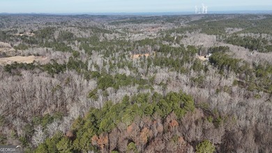 First time on the market in the past 60 years. The 2,700' (L) X - photo 23
