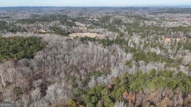 First time on the market in the past 60 years. The 2,700' (L) X - photo 24