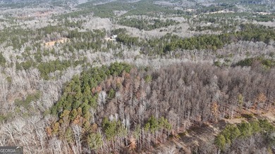 First time on the market in the past 60 years. The 2,700' (L) X - photo 25