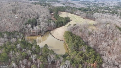 First time on the market in the past 60 years. The 2,700' (L) X - photo 35