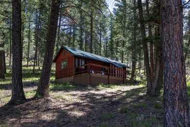 Historic Lost Trail Hot Springs Resort, with close proximity to - photo 35