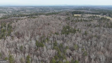 First time on the market in the past 60 years. The 2,700' (L) X - photo 39