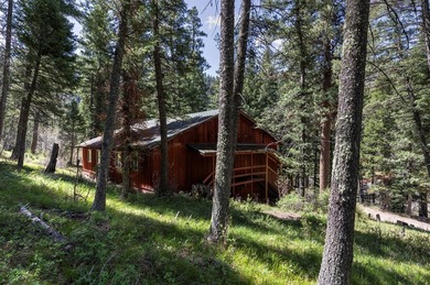 Historic Lost Trail Hot Springs Resort, with close proximity to - photo 39
