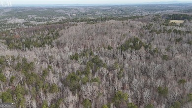 First time on the market in the past 60 years. The 2,700' (L) X - photo 41