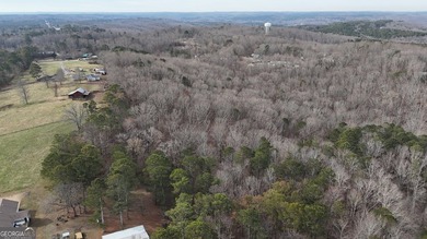 First time on the market in the past 60 years. The 2,700' (L) X - photo 42
