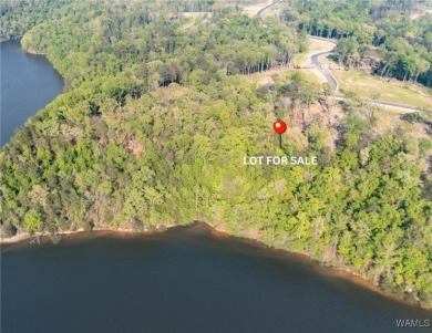 Lake Acreage For Sale in Tuscaloosa, Alabama
