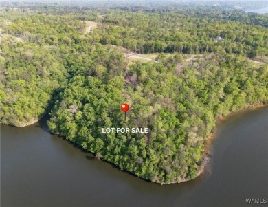 Lake Acreage For Sale in Tuscaloosa, Alabama