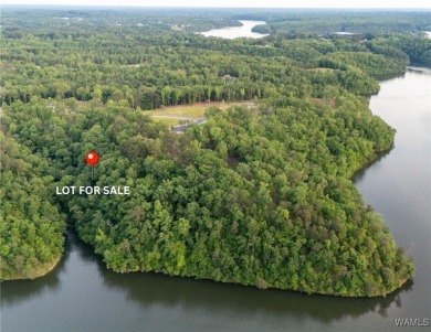Lake Acreage For Sale in Tuscaloosa, Alabama