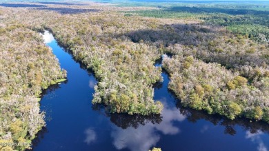 Lake Acreage For Sale in Rocky Point, North Carolina