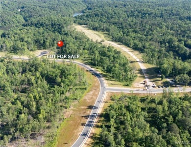 Lake Lot For Sale in Tuscaloosa, Alabama
