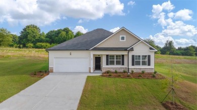 Lake Home For Sale in Buckhead, Georgia