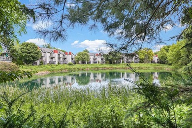Enjoy serene nature views from nearly every room of this - photo 39