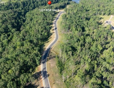Lake Lot For Sale in Tuscaloosa, Alabama