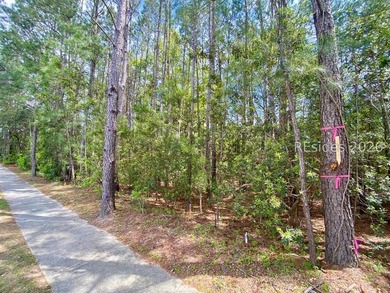 Live Oaks at Battery Creek. Buildable 1/4-acre lot near the - photo 18