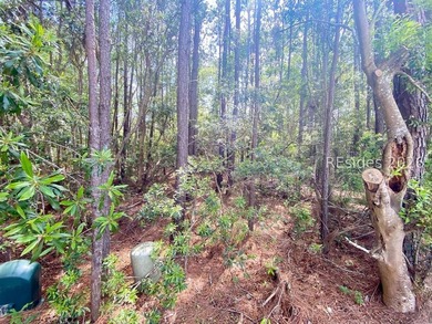 Live Oaks at Battery Creek. Buildable 1/4-acre lot near the - photo 20