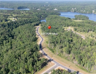 Lake Lot For Sale in Tuscaloosa, Alabama
