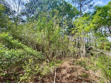 Live Oaks at Battery Creek. Buildable 1/4-acre lot near the - photo 23
