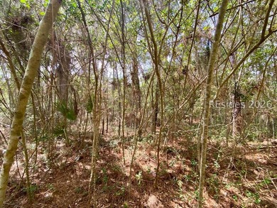 Live Oaks at Battery Creek. Buildable 1/4-acre lot near the - photo 24