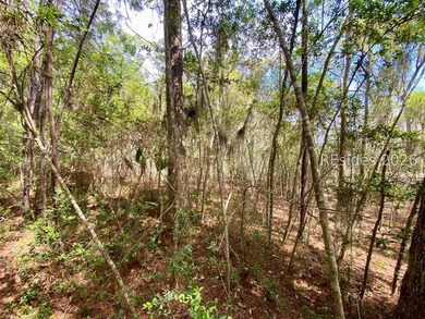 Live Oaks at Battery Creek. Buildable 1/4-acre lot near the - photo 25