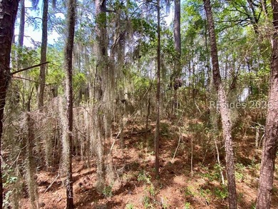 Live Oaks at Battery Creek. Buildable 1/4-acre lot near the - photo 26