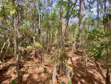 Live Oaks at Battery Creek. Buildable 1/4-acre lot near the - photo 27