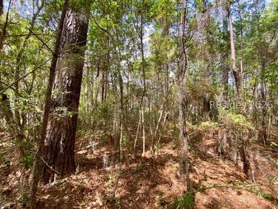 Live Oaks at Battery Creek. Buildable 1/4-acre lot near the - photo 28