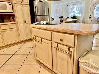 !!! You own the deeded land with the house furnished and turnkey - photo 29