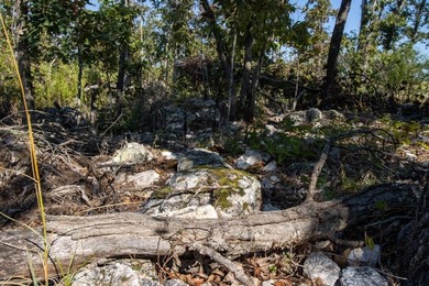 3.9 Acres Overlooking the White River Perched high above the - photo 22