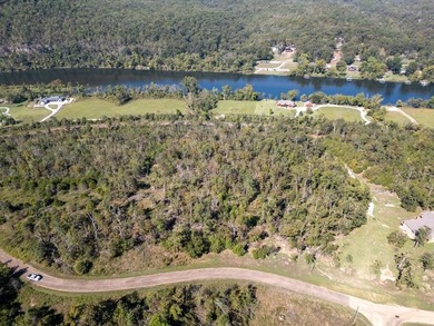 3.9 Acres Overlooking the White River Perched high above the - photo 30